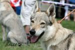 Xitta z Molu Es NVP MB červenec 2010