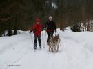 Mc Morris z Molu Es 10 let (vpravo) a Elli Srdcerváč - skijoring 2012