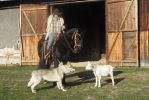  Ux Utter s kozou a Olda na koni
