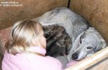 Y vrhu z Molu Es - 14 dní s Baruš a mami Api