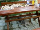 my našli houby..srpen 2010