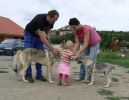  11 tydnů Zar se svou rodinou a 10 měsíců starou Yukon