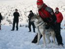 Yahoo z Molu Es na kurzu lavinových psů - Labská bouda březen 2012