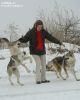 Monika umí tančit s vlky ! :0) Yukon a Ziggy Lee z Molu Es