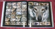 ukázka italské knihy věnované ČSV a vlkům