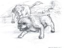 kresbu bulldoga mi nakreslil a věnoval Karel Kadlec