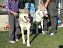 Atinka Sun z Molu Es a Atilla Ytax - 27.8.2014